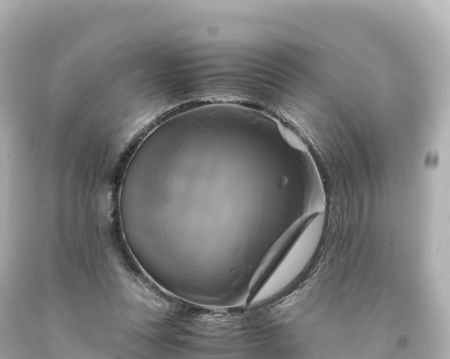 X0000094220351200711021144