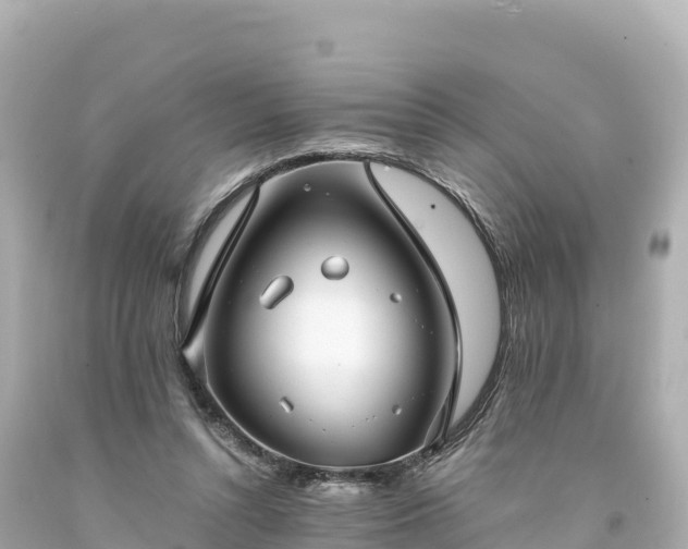 X0000094220352200711021144