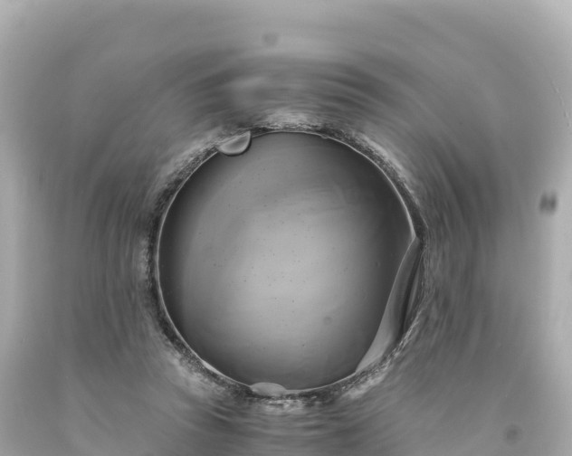 X0000094220353200711021144