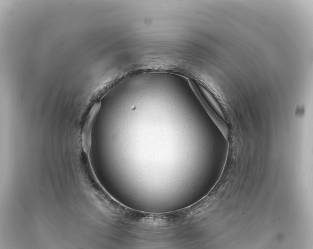 X0000094220354200711021144