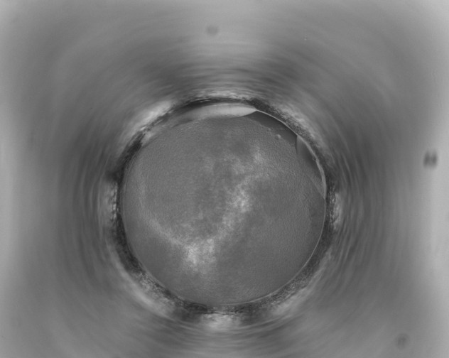 X0000094220356200711021144