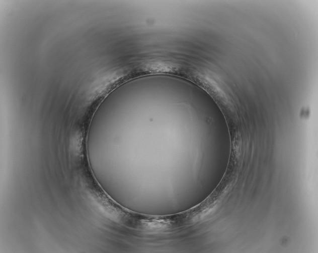 X0000094220359200711021144