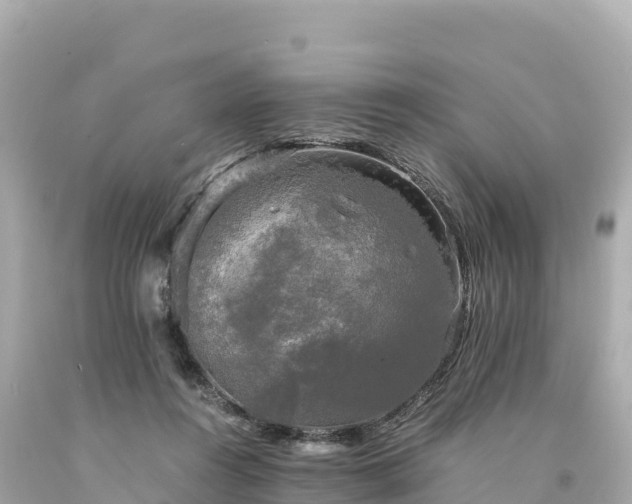 X0000094220360200711021144