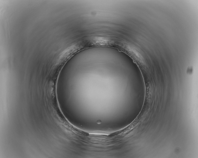 X0000094220361200711021144