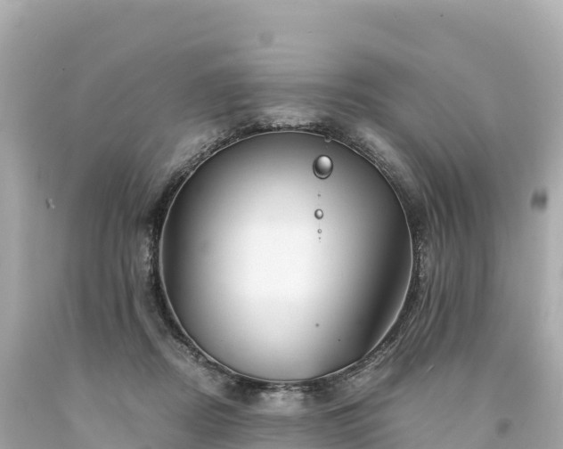 X0000094220362200711021144