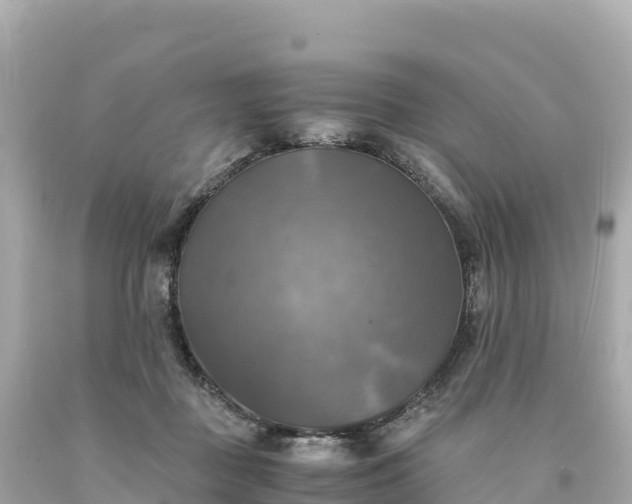 X0000094220363200711021145