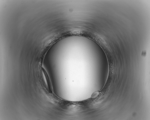 X0000094220364200711021145