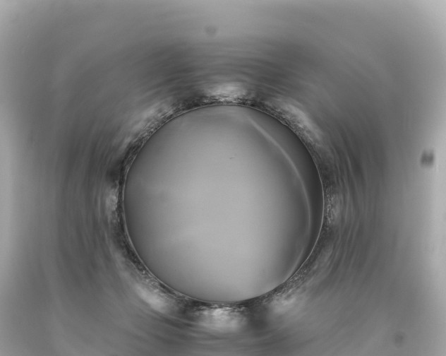 X0000094220365200711021145