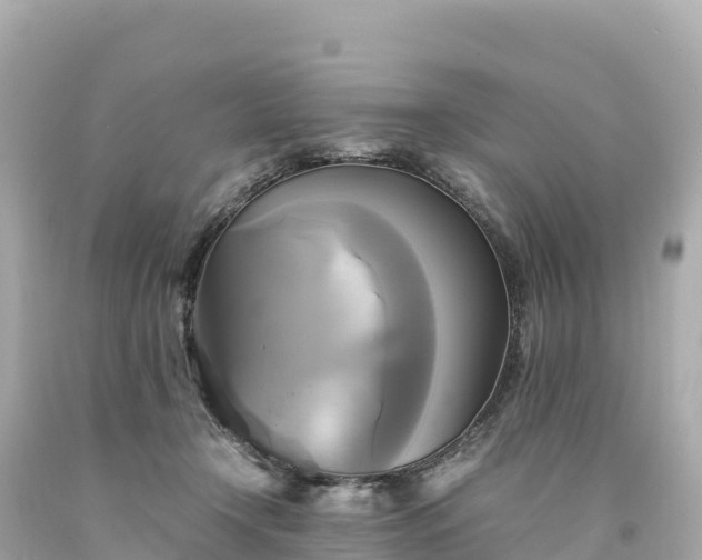 X0000094220366200711021145