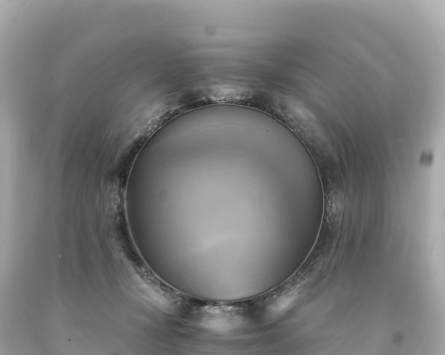 X0000094220367200711021145