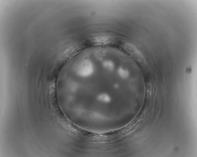 X0000094220369200711021145