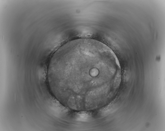 X0000094220370200711021145