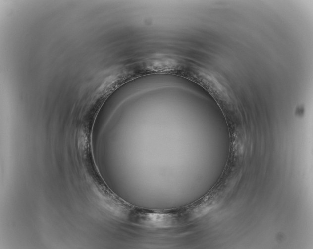 X0000094220371200711021145