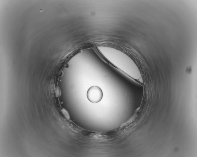 X0000094220372200711021145