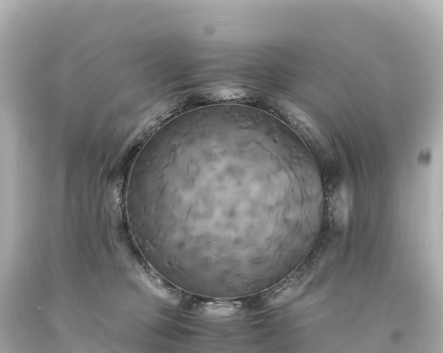 X0000094220373200711021145