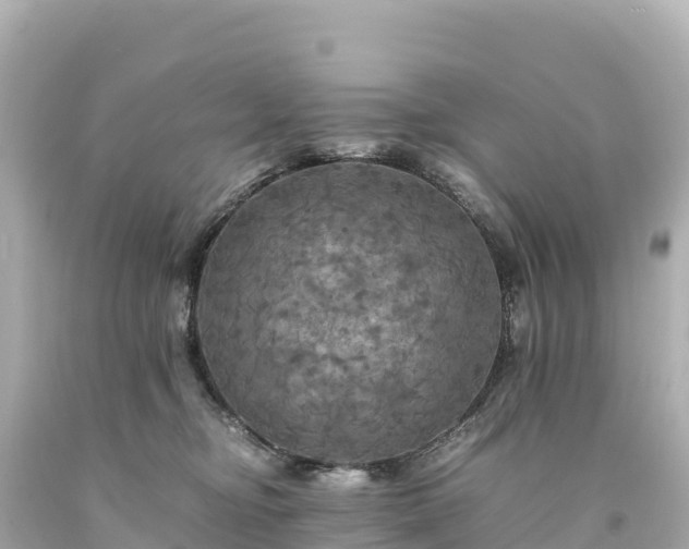 X0000094220374200711021145