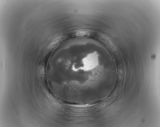 X0000094220375200711021145