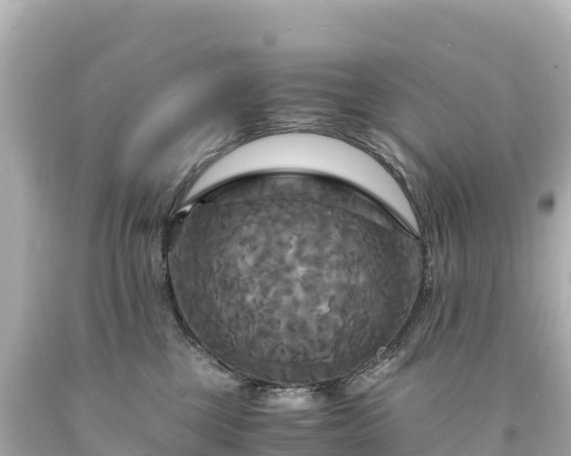 X0000094220377200711021145