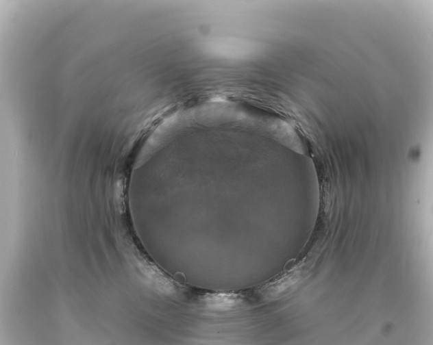 X0000094220378200711021145