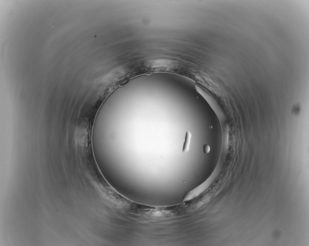 X0000094220379200711021145