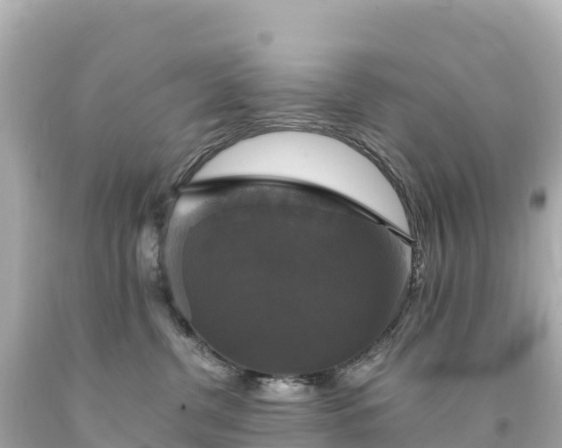 X0000094220380200711021145