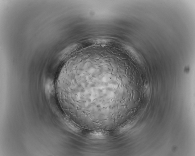 X0000094220381200711021145