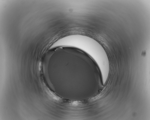 X0000094220382200711021145