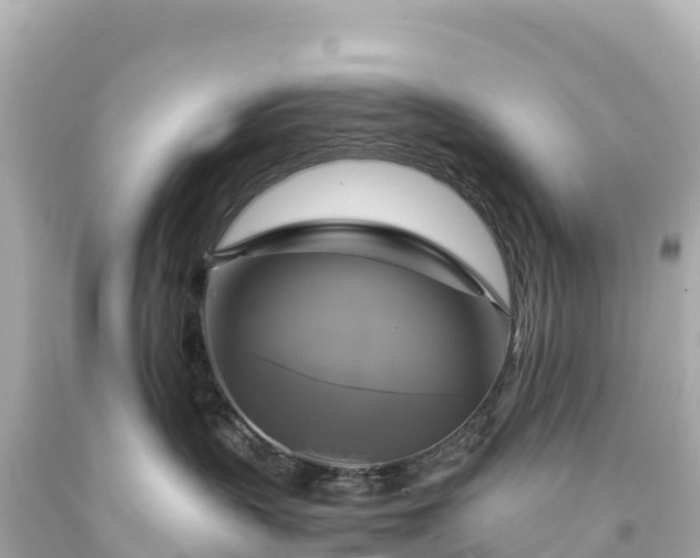 X0000094220383200711021145