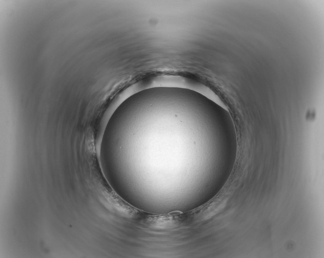 X0000094220384200711021145