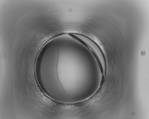 X0000094220385200711021144