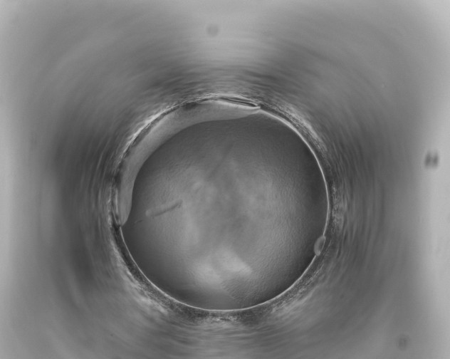 X0000094220386200711021144