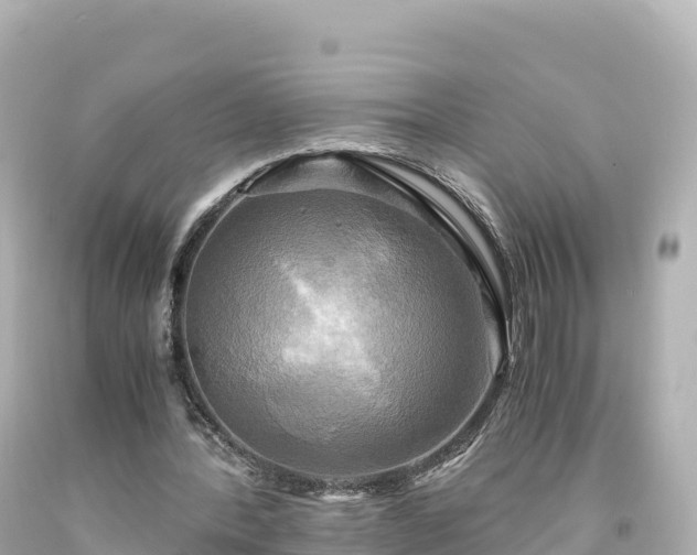 X0000094220388200711021144