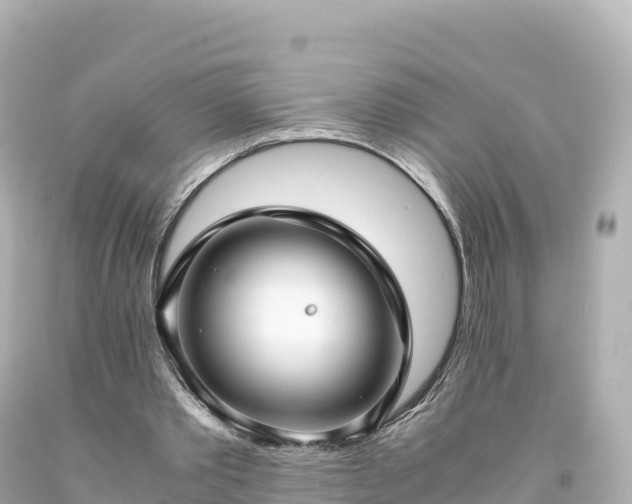 X0000094220389200711021144