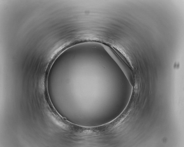 X0000094220390200711021144