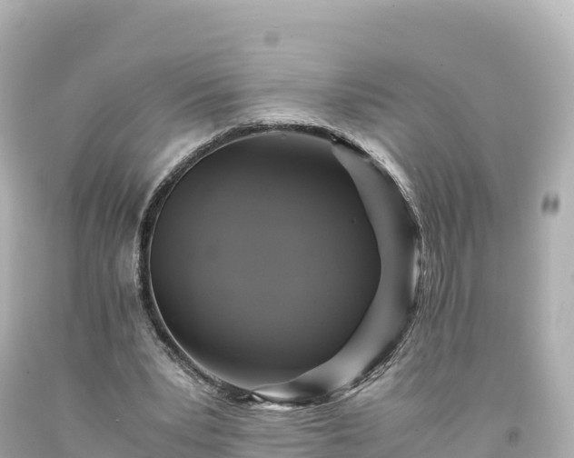 X0000094220391200711021144