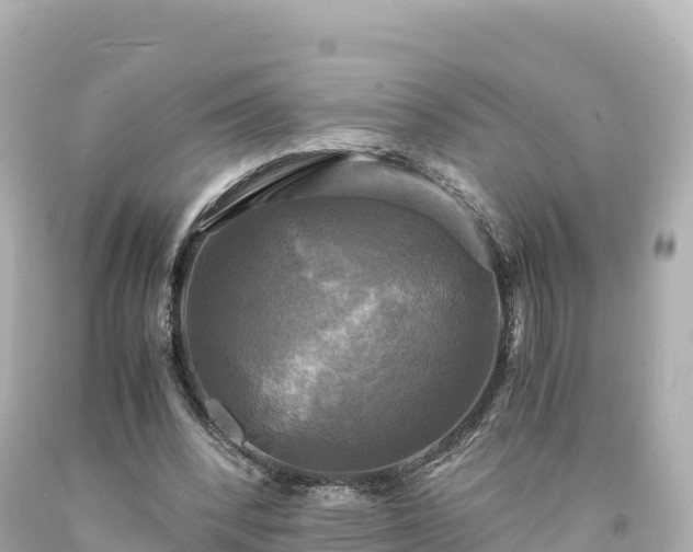 X0000094220392200711021144