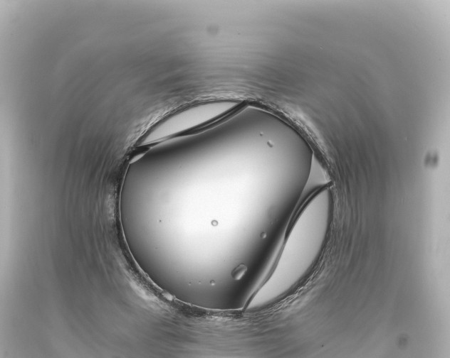 X0000094220393200711021144