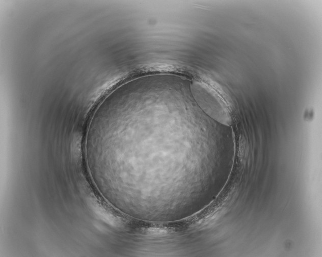 X0000094220394200711021144