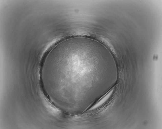 X0000094220395200711021144