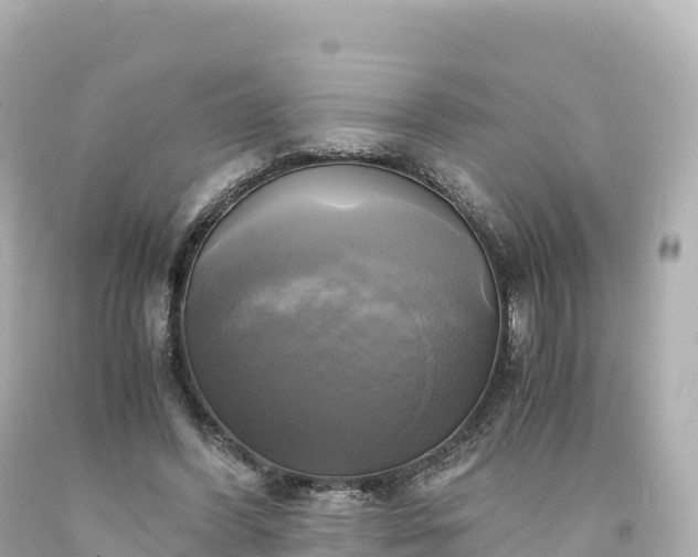 X0000094220396200711021144