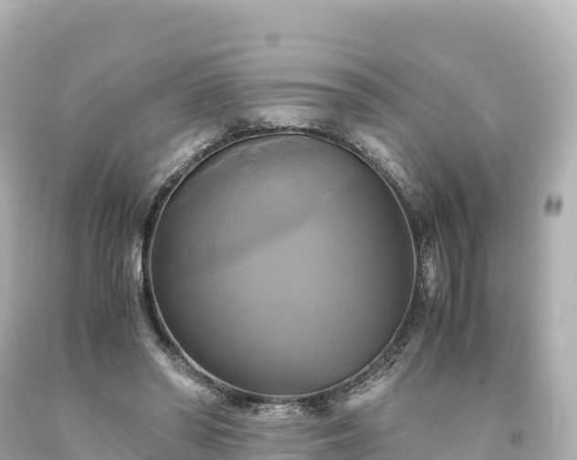 X0000094220398200711021144