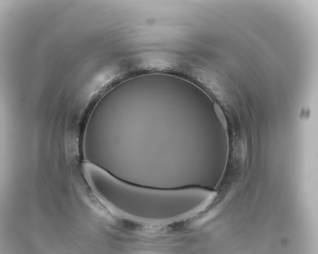 X0000094220399200711021144