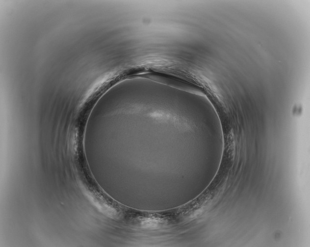 X0000094220400200711021144