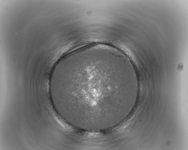 X0000094220401200711021144