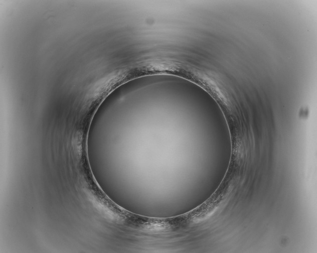 X0000094220402200711021144