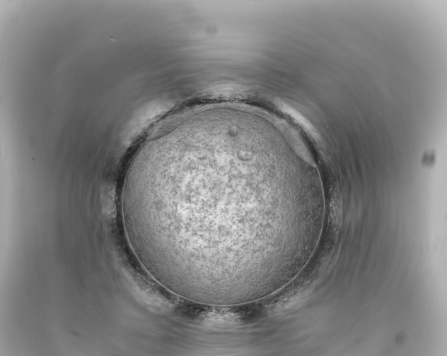 X0000094220403200711021144