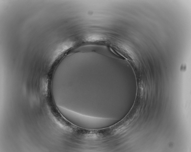 X0000094220404200711021144