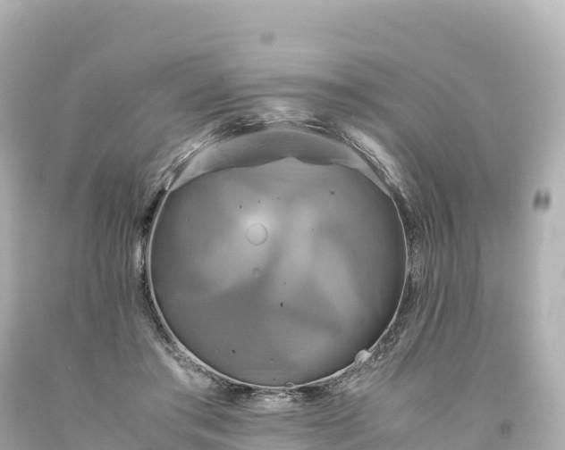 X0000094220405200711021144