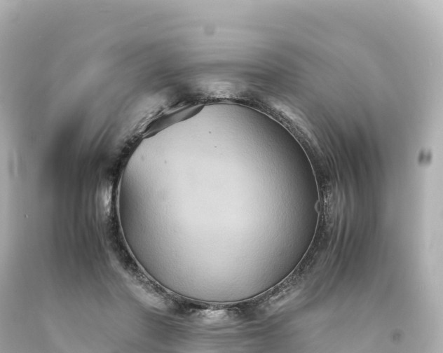 X0000094220406200711021144