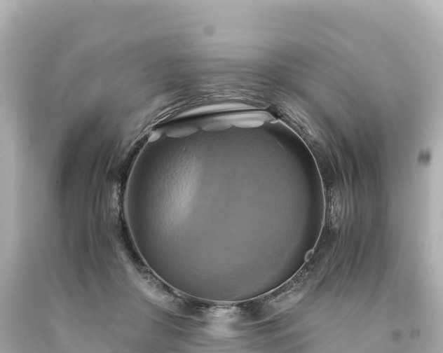 X0000094220410200711021144